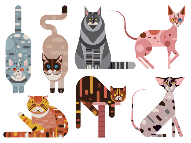 流行的猫品种几何设置在平坦图片下载