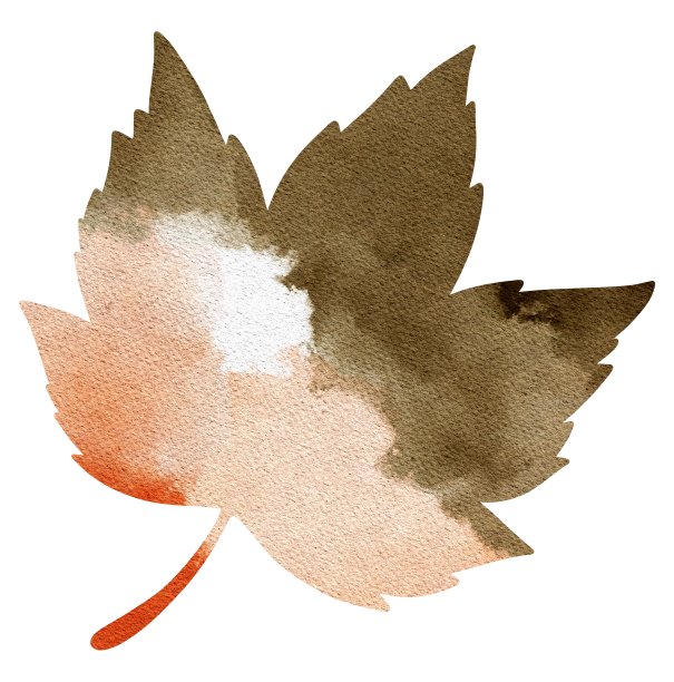 手绘抽象水彩秋叶剪影。用于海报，印刷，明信片，卡片，图案，婚礼，生日，节日，庆典，织物，纺织品图片下载