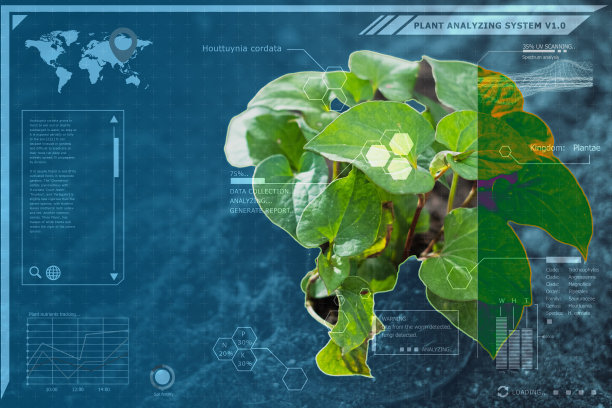 植物技术植物学鉴定计算机系统，图形模拟先进的精准农业创新平台和环境大数据分析。图片下载