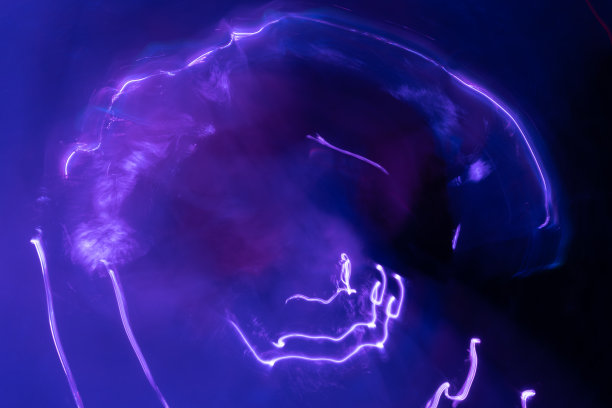 蓝色弯弯曲曲和圆形的电流就像蓝色背景上的光条纹图片下载