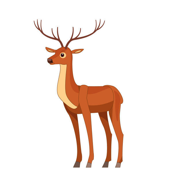 野生动物中有角的鹿图片下载