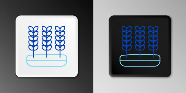 线谷物与大米小麦玉米燕麦黑麦图片下载