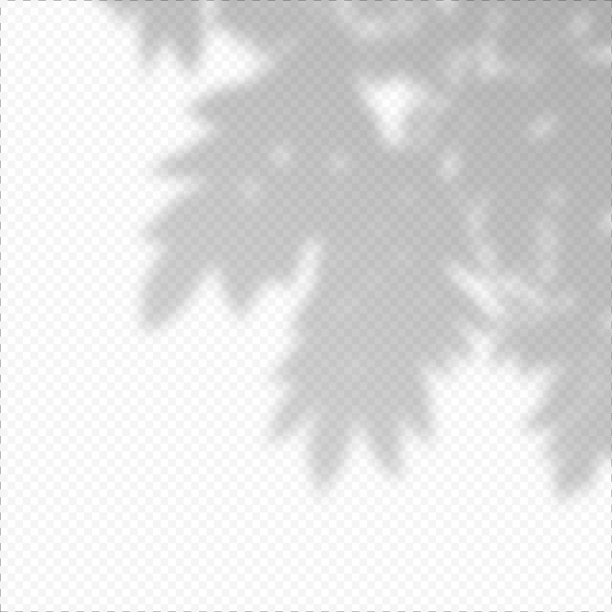 现实的向量透明覆盖模糊的阴影的枝叶。图片下载
