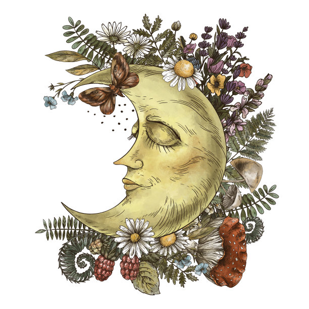 月亮，蕨类，鹅膏菌，森林植物。神秘神秘的花卉贺卡图片下载