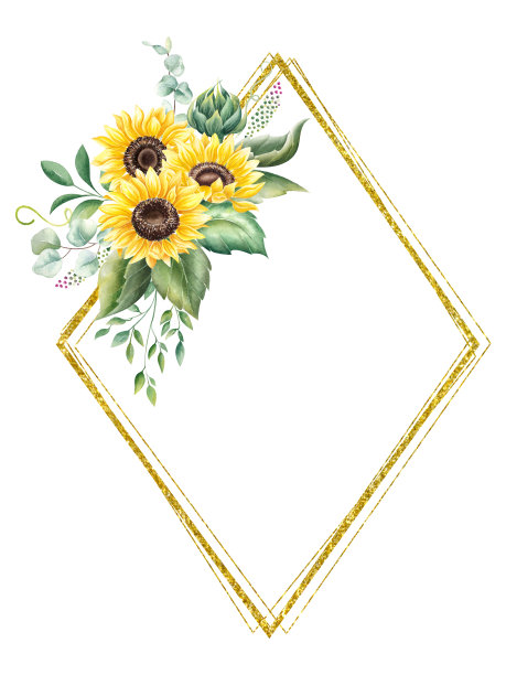水彩秋天金色框架与向日葵和绿叶枝。几何框架孤立在白色背景。花卉插图的设计，印刷，织物或背景。图片下载