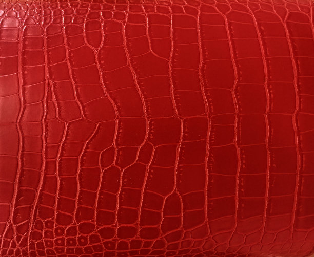 背景是由扁平的紫色爬行动物皮肤制成的。图片下载