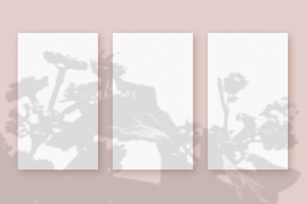 自然光将植物的阴影投射在三张白色纹理纸上，躺在粉色纹理背景上。模型图片下载