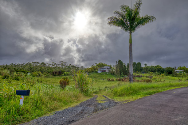 夏威夷路边农场图片下载