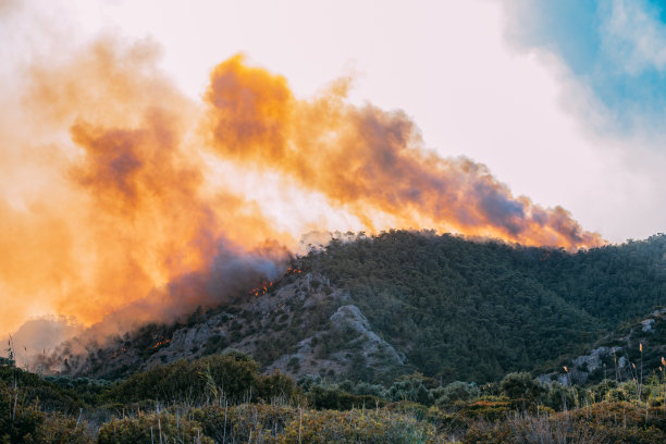 红松林大火图片下载