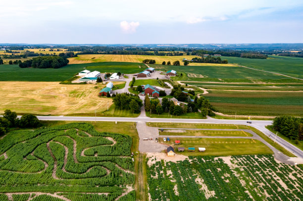 加拿大库克敦，夕阳下27号公路上的农场图片下载