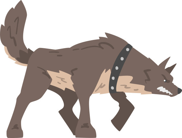 有攻击性的狗戴着皮项圈，露出牙齿图片下载