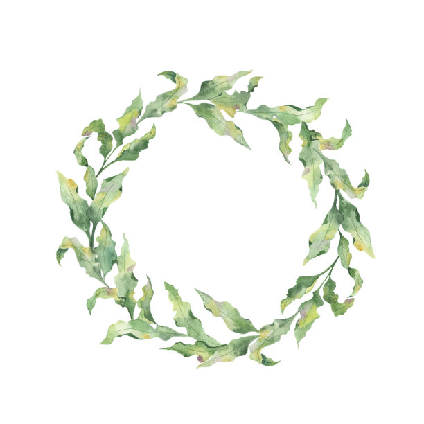 水彩圆形框架与现实的绿色树枝的叶子在白色的背景。图片下载