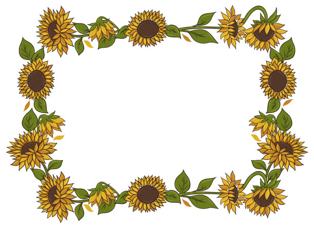 向日葵框架孤立在白色背景图片下载