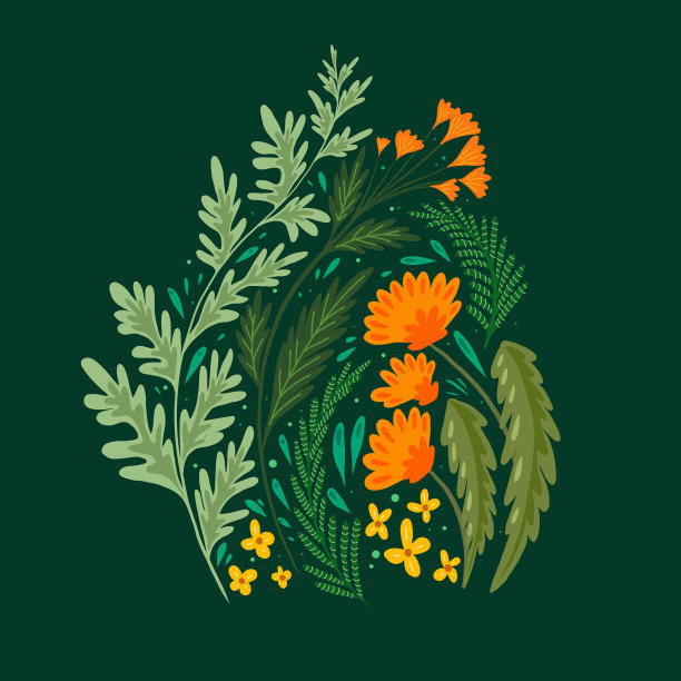 平坦的草地和鲜花的田野图片下载