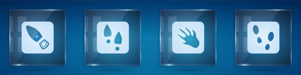 设置人类脚印鞋短吻鳄鳄鱼图片下载