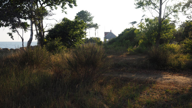 海边的避暑别墅图片下载