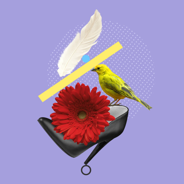小黄鸟和红花在紫红色背景下的女鞋上的创意构图。图片下载