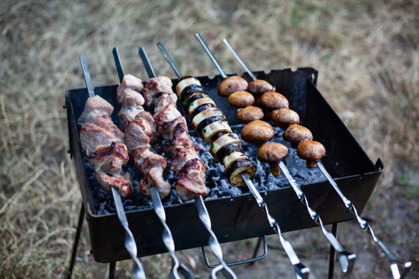 烤肉架上的烤肉串和蔬菜，特写镜头图片下载