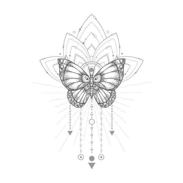 蝴蝶和神圣的几何符号图片下载