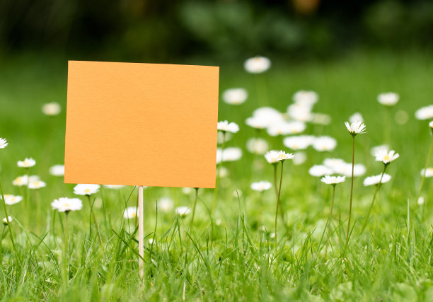 在草地和雏菊之间的草地上，橙色的纸签。横幅的表面是空的，以添加文本。图片下载