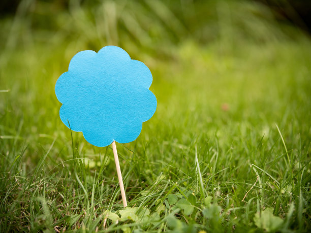 蓝色的纸在草地上开花。表面的花是空的，可以添加文字。图片下载