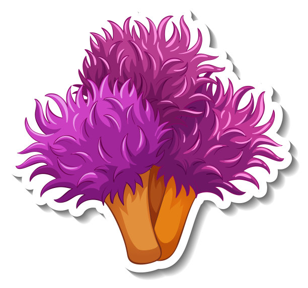 贴纸模板与珊瑚海元素隔离图片下载