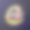 为野生动物爱好者制作野生素描贴纸图片下载