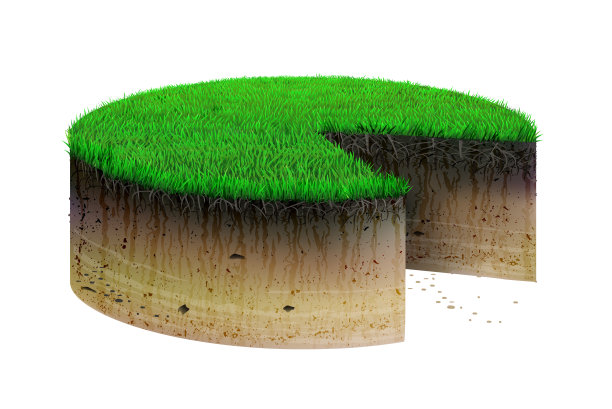 概念蛋糕从土地的地块图片下载