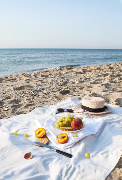 在海滩上野餐。图片下载