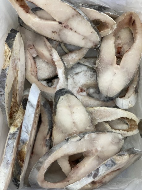 冷冻鱼肉类图片下载