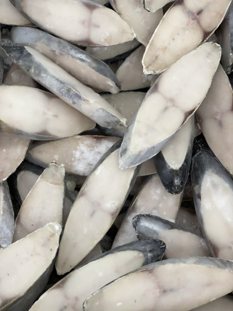 冷冻鱼肉类图片下载