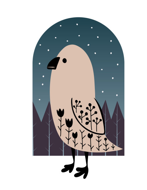 野生鸟类图片下载