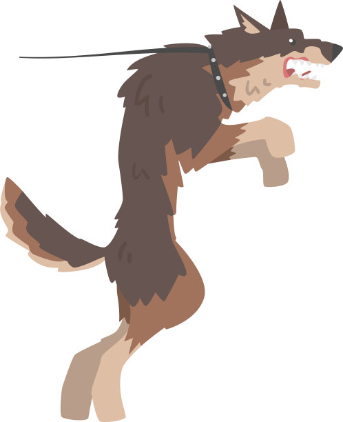 愤怒的攻击性狗吠叫，露出牙齿图片下载