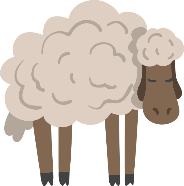 可爱的白色毛茸茸的绵羊农场动物家畜图片下载