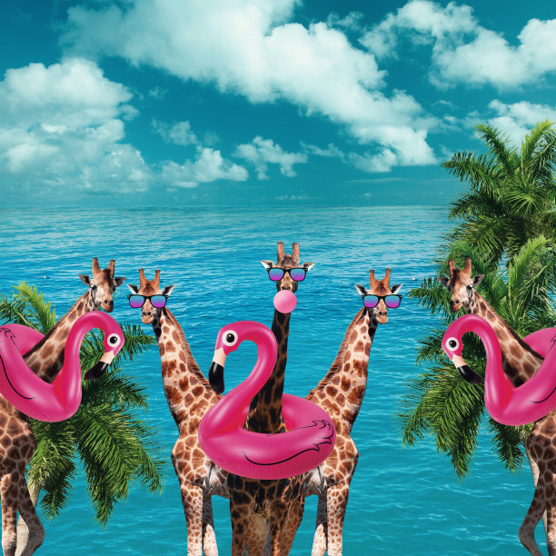 有趣的艺术品。戴着太阳镜的长颈鹿在海边游泳图片下载