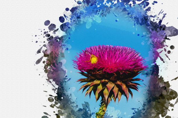 蓝色天空下紫色蓟花的特写。一个黄色的图片下载