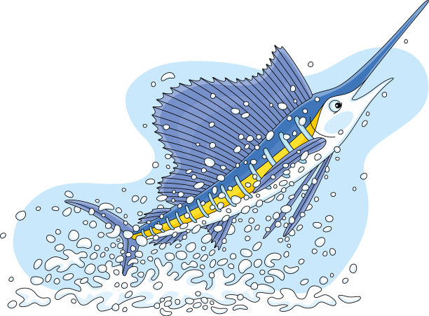 大型剑鱼跃出水面图片下载