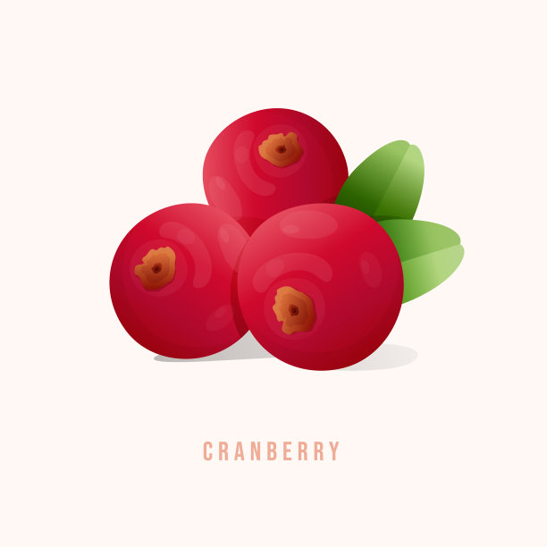 现代风格的蔓越莓水果图片下载