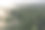 热带丛林，婆罗洲热带雨林的美景图片下载