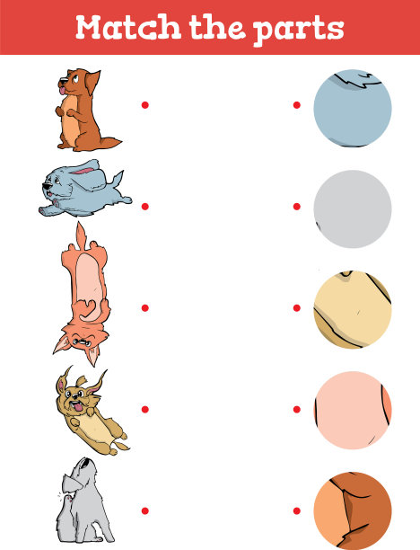 匹配部分儿童教育游戏图片下载