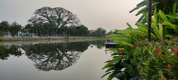 从岸边拍摄的河流照片图片下载