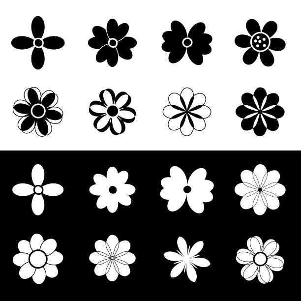 设置白色和黑色的花卉图案图片下载