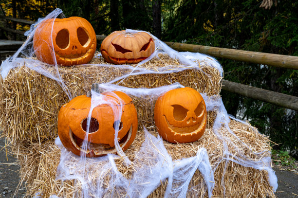 杰克灯笼南瓜。秋天有蜘蛛网装饰的万圣节橙色南瓜。图片下载