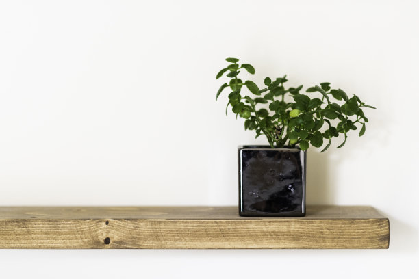 木架上的盆栽植物图片下载