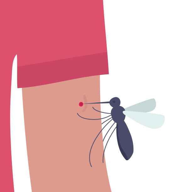 皮肤和手部被蚊子叮咬。孤立在白色的。矢量插图。扁平昆虫咬人的手臂。喝血。矢量图图片下载