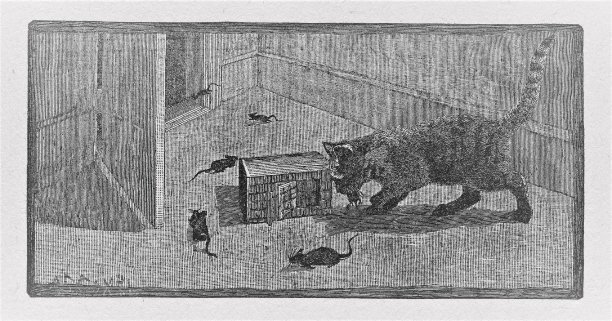 猫捉老鼠图片下载