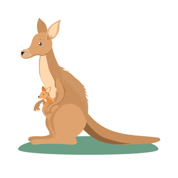 口袋里有只小袋鼠。儿童插图孤立在白色背景。图片下载