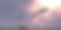 鲸鱼穿过云层，3D插图。图片下载