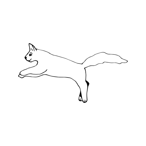 可爱的手画猫在白色背景上跳跃运动。向量可爱的动物在时髦的斯堪的纳维亚风格。有趣，可爱，hygge插图海报，横幅，印刷品，装饰儿童游戏室。图片下载