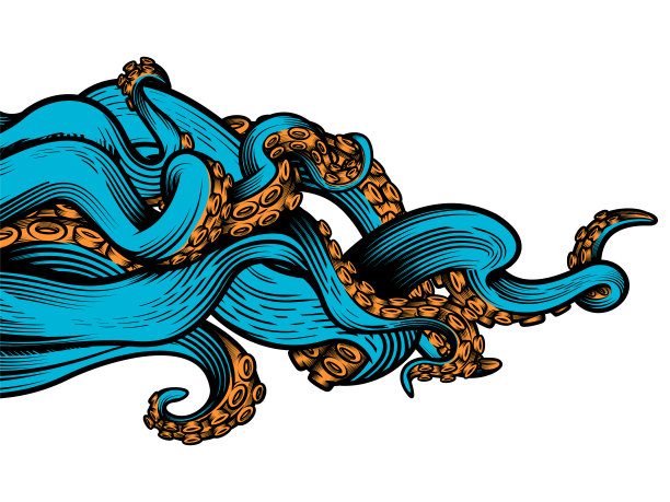 章鱼的触手。图片下载
